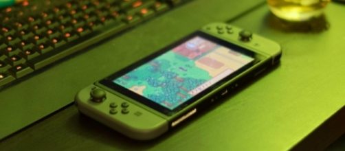 Stardew Valley. [Image Credit: Scott Akerman/Flickr]