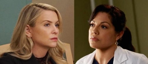 Callie voltar&aacute; a morar com a ex-esposa Arizona?