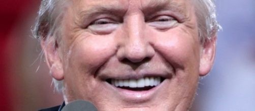 President Donald Trump [image Credit: Gage Skidmore / Flickr]
