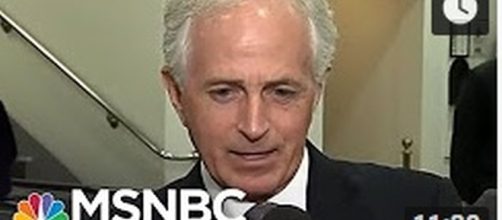 Sen. Bob Corker. [Image via MSNBC/YouTube]