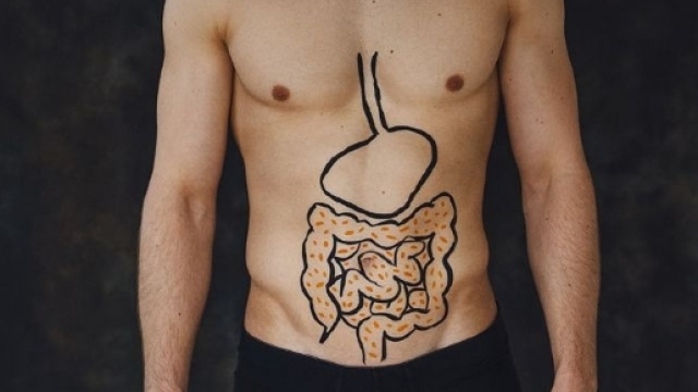 Il microbiota integro &egrave; l'elisir di lunga vita