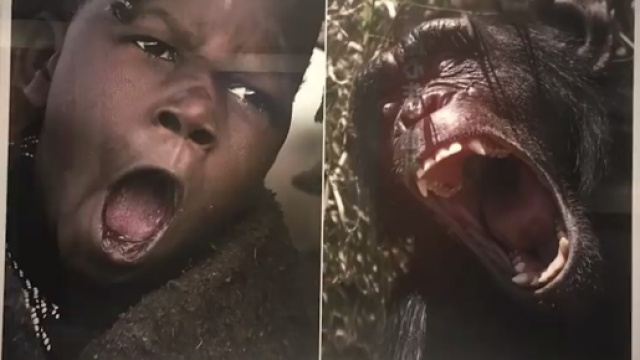 Photo de l'exposition "Voici L'Afrique" en Chine - Paris Match Belgique