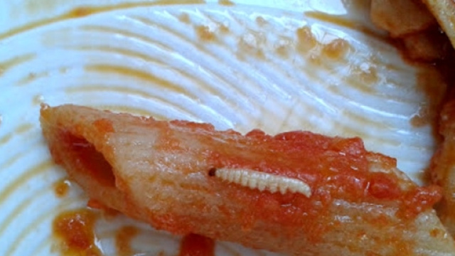 Vermi del grano nella pasta servita in una scuola del milanese