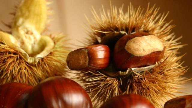 Cosmetici fai da te. Maschera di bellezza alle castagne - foto:meteoweb.eu
