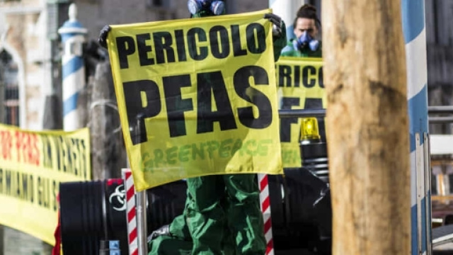 Pfas, M5S bacchetta Bottacin e lancia l'allarme: "A rischio anche ... - veronasera.it