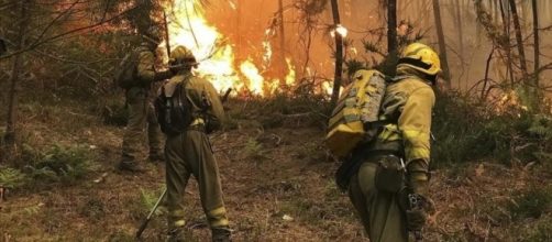Una plaga de incendios intencionados quema 4.000 hect&aacute;reas en ... - diariocordoba.com