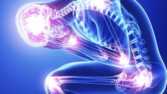 12 maggio 2017 &ndash; Giornata mondiale della Fibromialgia, Gruppo PD - gruppopdemiliaromagna.it