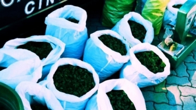 Ragusa, scoperti 300 chili di marijuana nascosti in un camper.