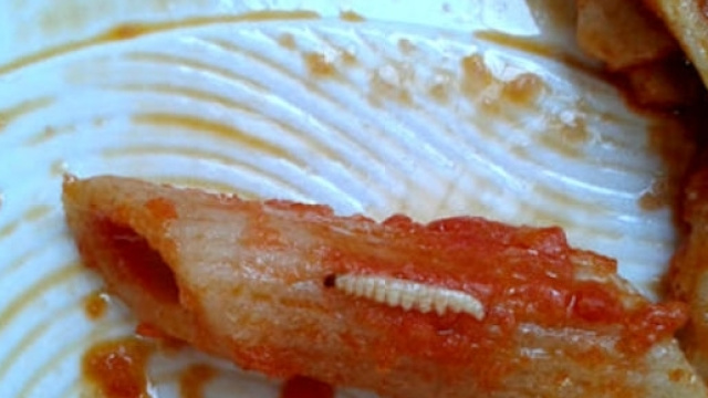 Vermi nella pasta in una mensa