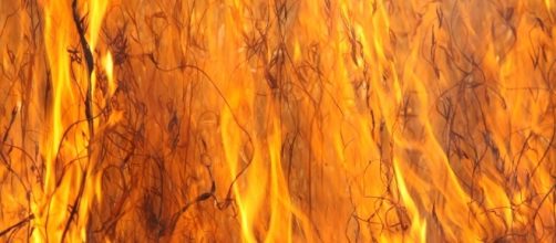 El fuego arrasa los montes de Asturias y Galicia en multitud de incendios provocados