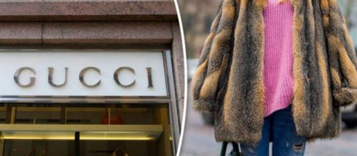 Gucci dejar&aacute; de usar piel de animales en sus dise&ntilde;os de ropa