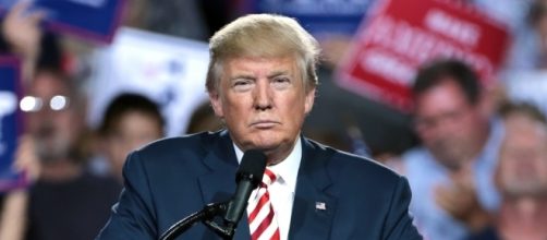 Rep. Frederica Wilson fires back at Donald Trump after the president called her a &ldquo;wacky Congresswoman.&rdquo;