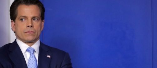 Scaramucci's rise and fall on Wall Street and in the White House ... - businessinsider.com