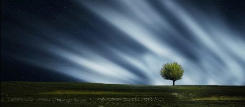 Universal action and expression -- that's what aesthetics means (Image credit - CCO Public Domain | Pixabay)