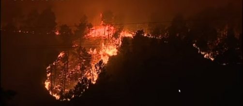 Wildfires allegedly set on purpose remain uncontrolled. mage Credits: AFP news agency/ YouTube screencap