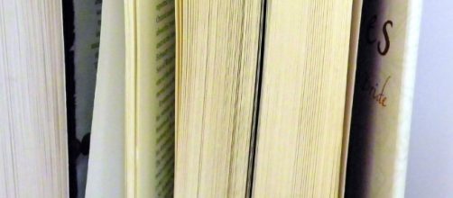 Dorothy Cook / Image via Flickr