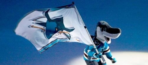 Sharks fly flag of victory, image credit: https://commons.wikimedia.org/wiki/File:Sharkie_with_flag.jpg