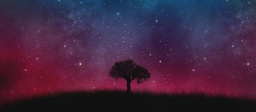 Your 'astral body' can travel where your physical body can't. (Image Credit: Cosmos Universe Galaxy Space Tree Background/Max Pixel)