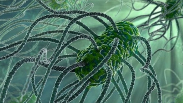 Analysis: Antibiotic apocalypse - BBC News - bbc.com