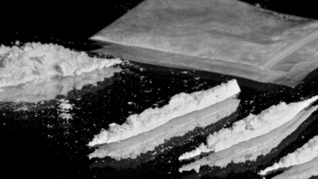 Una dose di cocaina preparata in strisce per essere sniffata