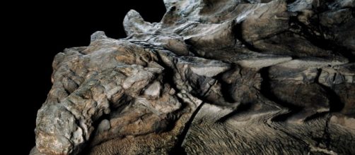 Finalmente es posible su exposici&oacute;n al p&uacute;blico tras siete a&ntilde;os.