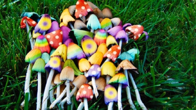 I pazienti sottoposti al trattamento hanno descritto la sensazione di essere 'resettati'.Fonte:http://best5.it/