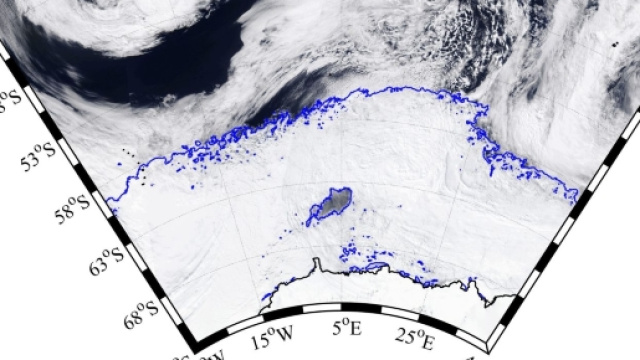 Immagine satellitare della polinia