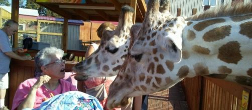 April and Oliver at Animal Adventure Park. [Image Credit: Lauren Esposito]