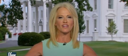 Kellyanne Conway on Fox News, via YouTube