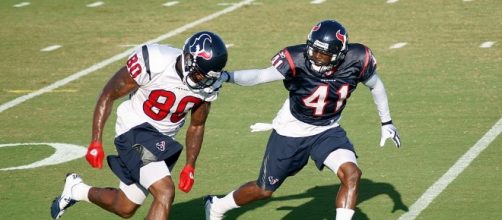 The Texans are cruising.[Image via LBKing/Wikimedia Commons]