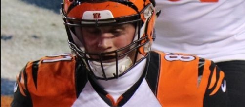 Third-year tight end Tyler Kroft easily had a career day in Week 4. Image Source: Wikimedia Commons