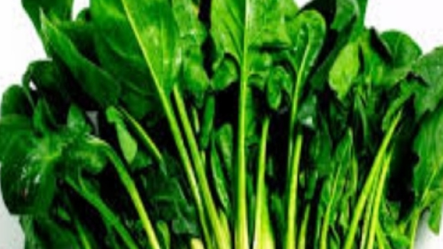 Erba velenosa negli spinaci surgelati