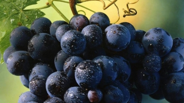 La dieta dell'uva combatte le diete ricche di grassi
