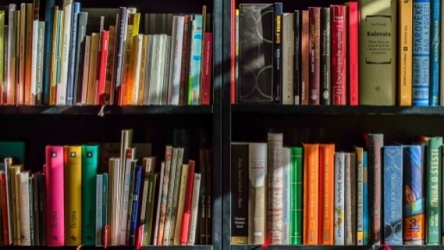 Libreria, come organizzarla? Pro e contro di ogni criterio