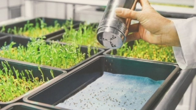 This Innovative Farm Grows Food Three Times Faster Than a Regular ... - futurism.com