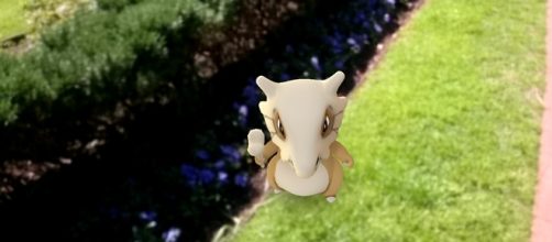 A new round of pocket monsters are set to invade "Pokemon Go" this Halloween/ photo by Alpha/ Flickr