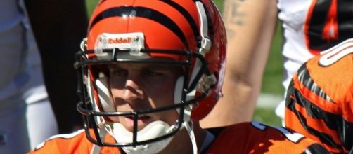 Mike Nugent [Image Credit: Jeffrey Beall/Wikimedia Commons]