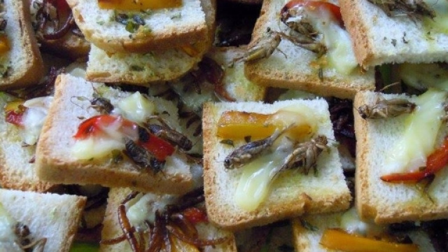 Insetti a tavola, il cibo del futuro