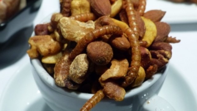 Insetti anche sulle tavole italiane.