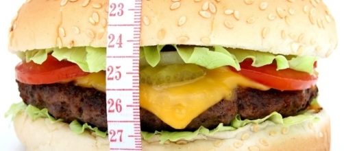 Obesity can undermine the physical, social, and psychological well-being of a child. [Image credit: Robert Owen-Wahl / Pixabay]