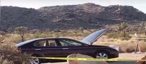Hikers missing in California's scorching Joshua Tree park. [Image via Youtube/Animals and Discovery]