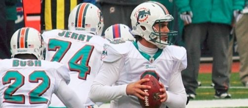 Matt Moore steps in for Miami Dolphins - Image credit - Coalman767 via Wikimedia Commons