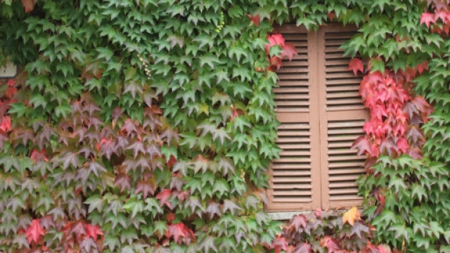 Le Langhe: Bossolasco, Barolo, La Morra, Chierasco. Foto di Francesca Refano