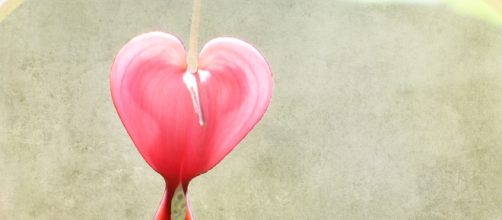 Avoid making trope-related mistakes when writing romance / Nick Kenrick 1 via Flickr