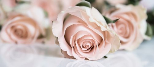 Nicholas Sparks has a method when it comes to creating characters / Maria Eklind via Flickr