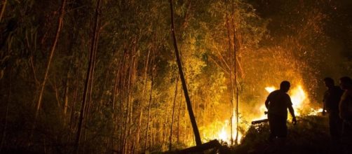 &iquest;Qui&eacute;n quema Galicia y por qu&eacute;?