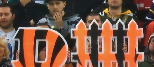 The World's most recently posted photos of dfence - Flickr Hive Mind - hiveminer.com