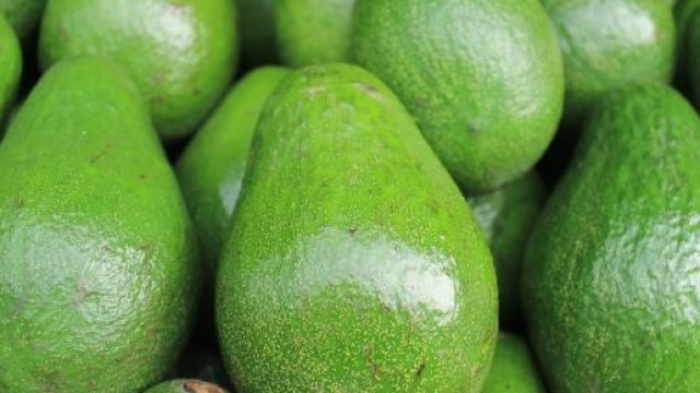 Dieta chetogenica, ecco cosa &egrave;