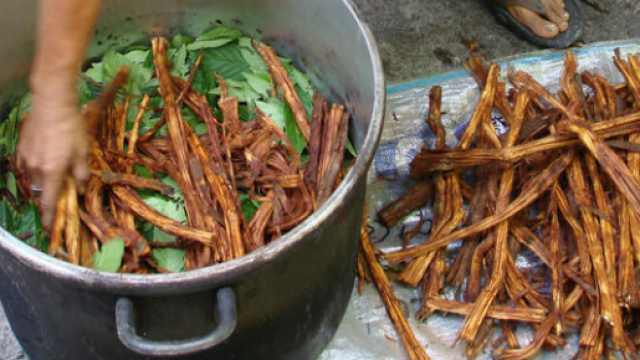 Una fase della preparazione dell'Ayahuasca (http://www.medicinehunter.com/ayahuasca-plant-healing-soul)