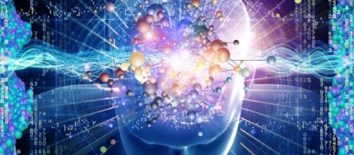 La Memoria Humana | Educa Panam&aacute; | Mi Portal Educativo - edu.pa